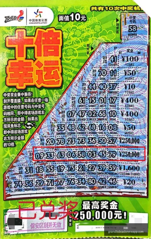 光伏电站与,鸟类生存的,潜在冲突,新葡京,新葡京app,新葡京娱乐,新普京赌场